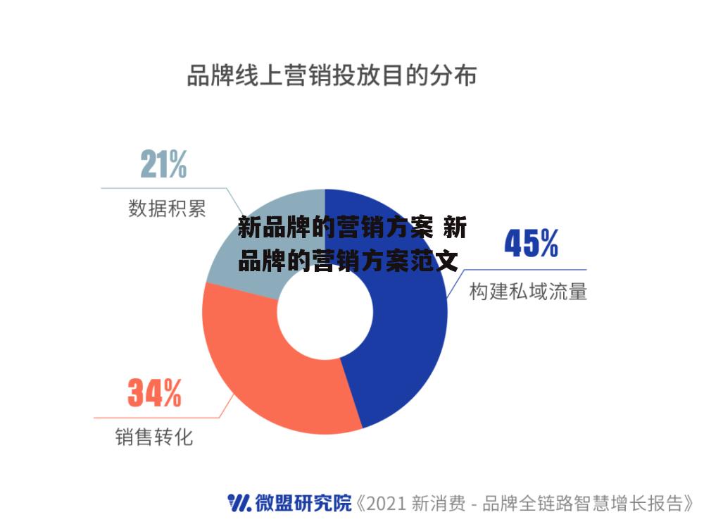 新品牌的营销方案 新品牌的营销方案范文