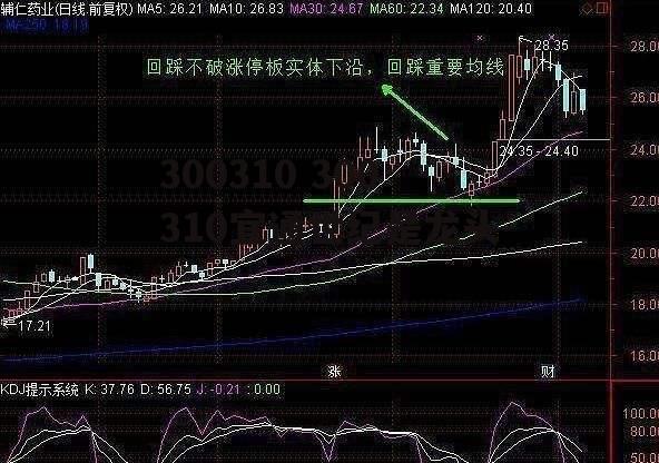 300310 300310宜通世纪是龙头