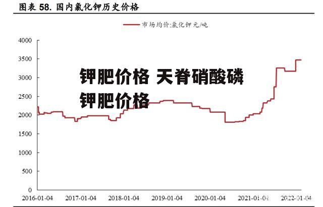 钾肥价格 天脊硝酸磷钾肥价格