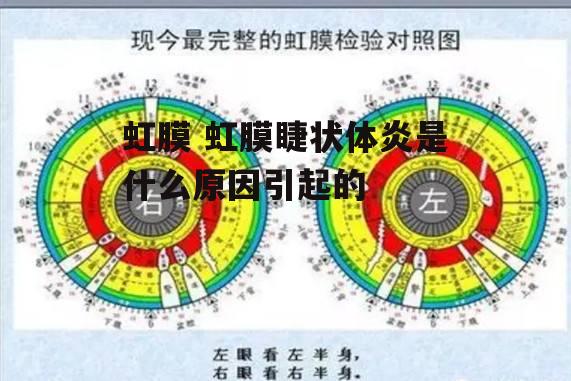 虹膜 虹膜睫状体炎是什么原因引起的