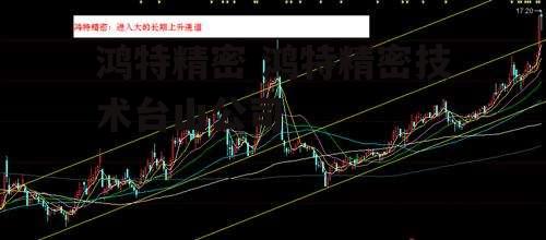 鸿特精密 鸿特精密技术台山公司