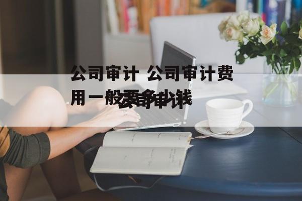 公司审计 公司审计费用一般要多少钱