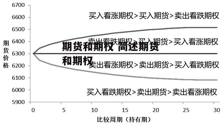 期货和期权 简述期货和期权