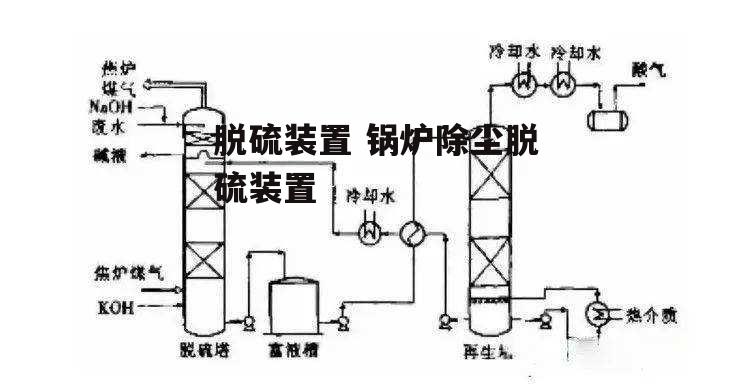 脱硫装置 锅炉除尘脱硫装置