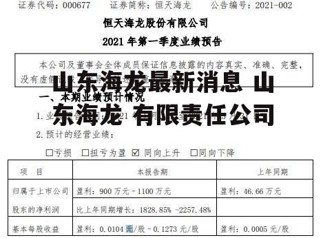 山东海龙最新消息 山东海龙 有限责任公司