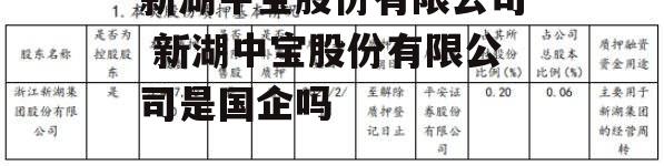 新湖中宝股份有限公司 新湖中宝股份有限公司是国企吗