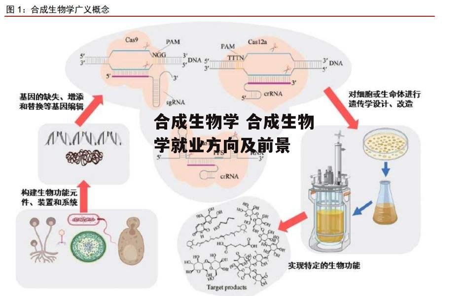 合成生物学 合成生物学就业方向及前景