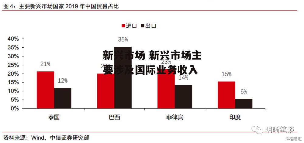 新兴市场 新兴市场主要涉及国际业务收入