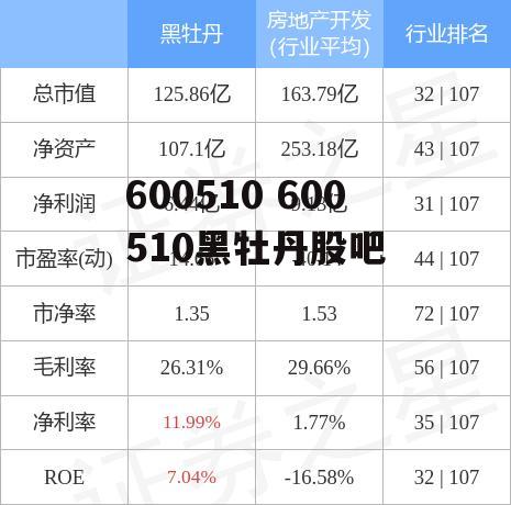 600510 600510黑牡丹股吧