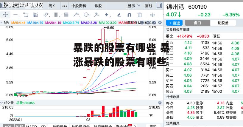 暴跌的股票有哪些 暴涨暴跌的股票有哪些