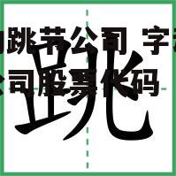 字动跳节公司 字动跳节公司股票代码