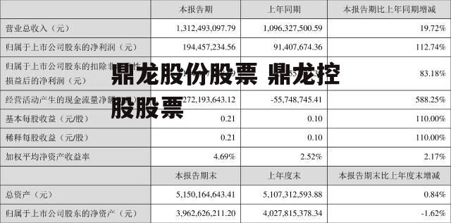 鼎龙股份股票 鼎龙控股股票