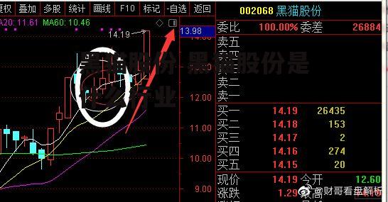 黑猫股份 黑猫股份是什么行业