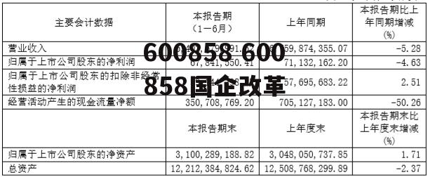 600858 600858国企改革