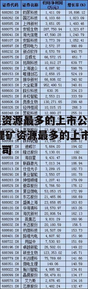 锂资源最多的上市公司 锂矿资源最多的上市公司