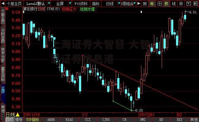 上海证券大智慧 大智慧证券信息港