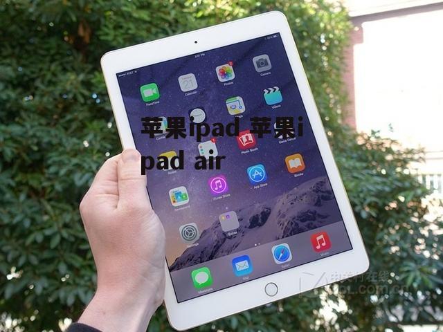 苹果ipad 苹果ipad air