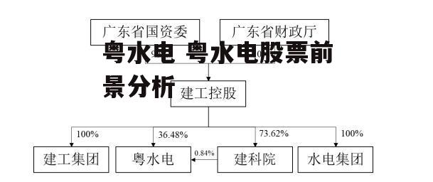 粤水电 粤水电股票前景分析