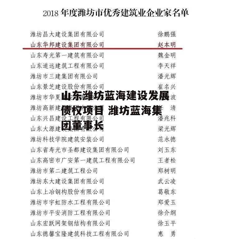 山东潍坊蓝海建设发展债权项目 潍坊蓝海集团董事长