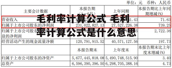 毛利率计算公式 毛利率计算公式是什么意思