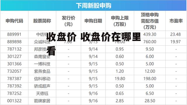 收盘价 收盘价在哪里看