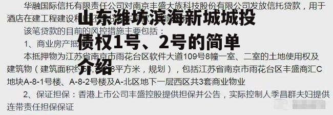 山东潍坊滨海新城城投债权1号、2号的简单介绍