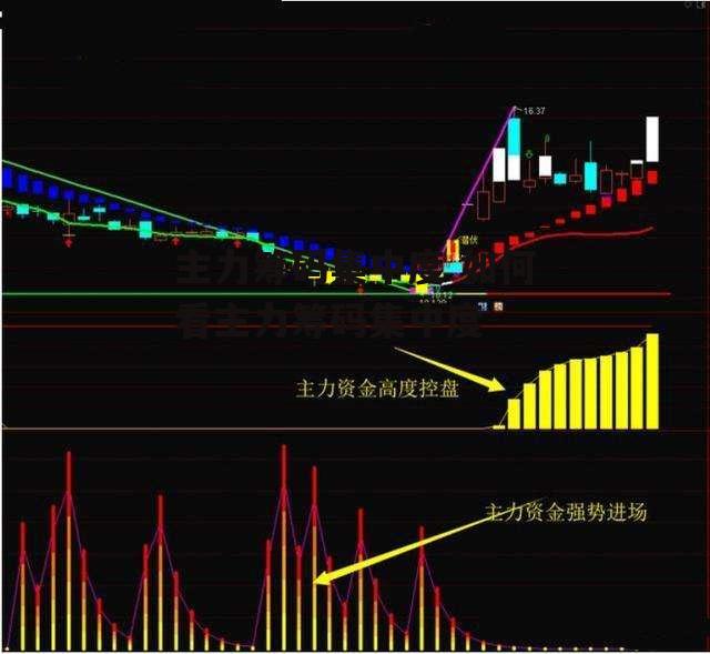 主力筹码集中度 如何看主力筹码集中度