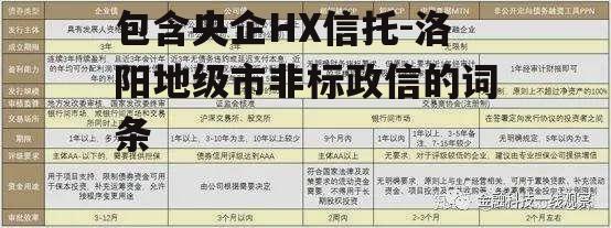 包含央企HX信托-洛阳地级市非标政信的词条