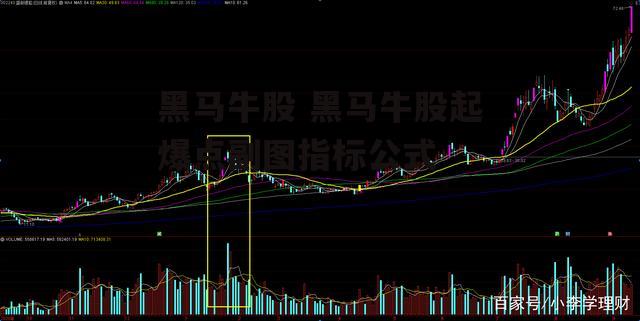 黑马牛股 黑马牛股起爆点副图指标公式