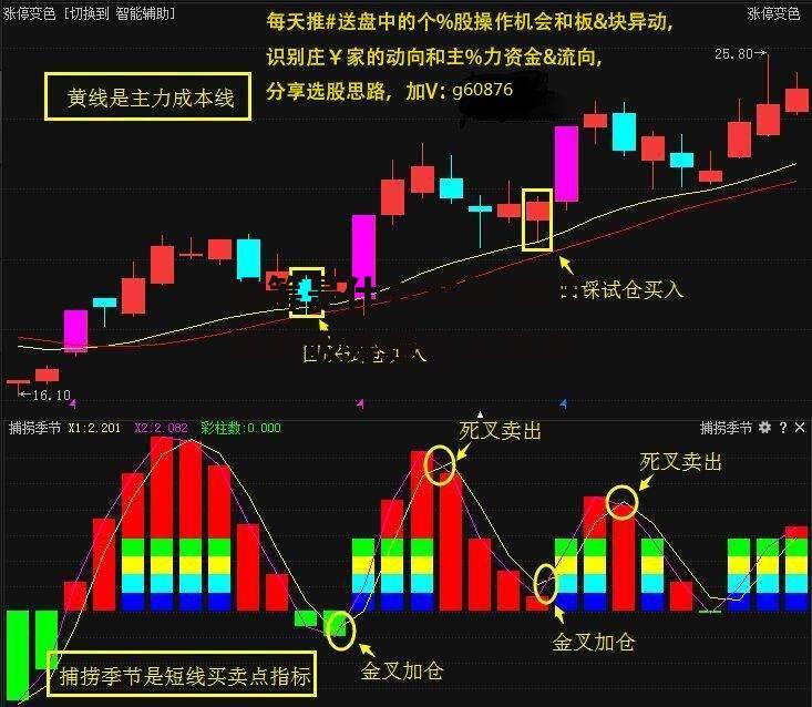 吸筹是什么意思 股市里的吸筹是什么意思