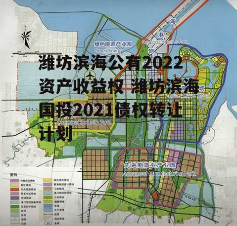 潍坊滨海公有2022资产收益权 潍坊滨海国投2021债权转让计划