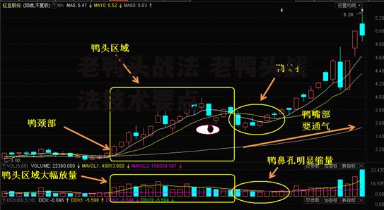 老鸭头战法 老鸭头战法技术要点