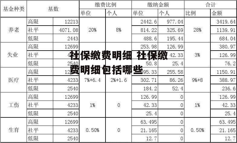 社保缴费明细 社保缴费明细包括哪些