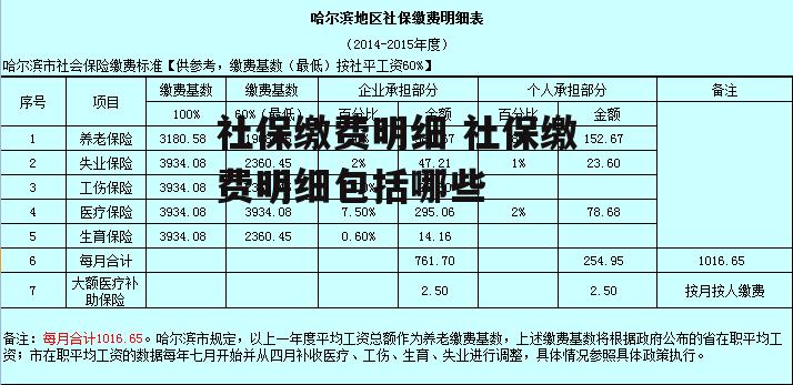 社保缴费明细 社保缴费明细包括哪些