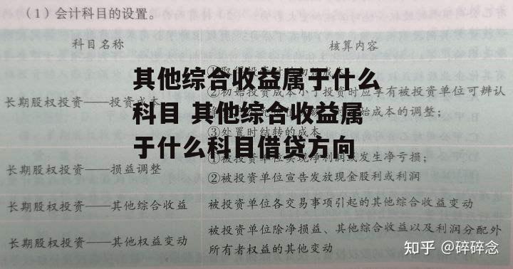 其他综合收益属于什么科目 其他综合收益属于什么科目借贷方向