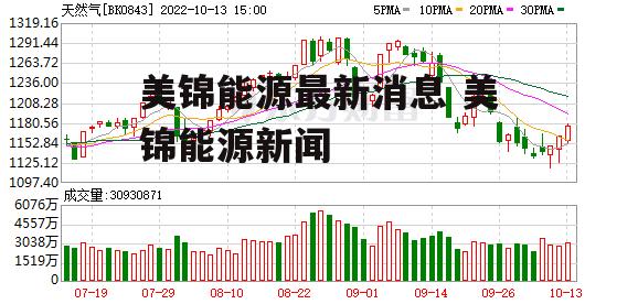 美锦能源最新消息 美锦能源新闻