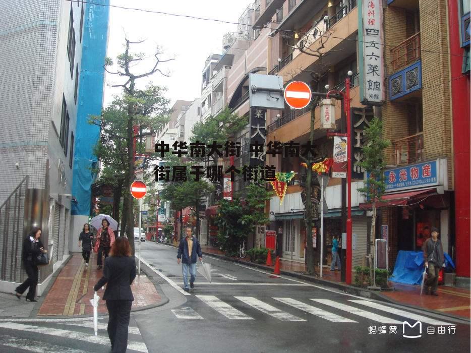 中华南大街 中华南大街属于哪个街道