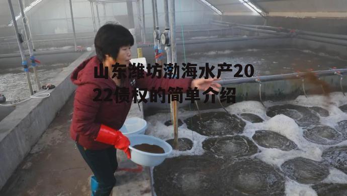 山东潍坊渤海水产2022债权的简单介绍