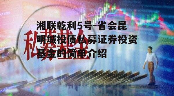 湘联乾利5号-省会昆明城投债私募证券投资基金的简单介绍