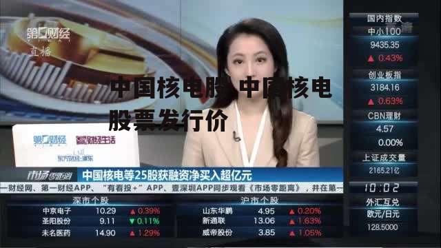 中国核电股 中国核电股票发行价