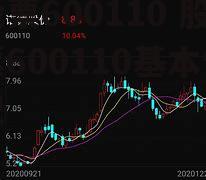 股票600110 股票600110基本情况