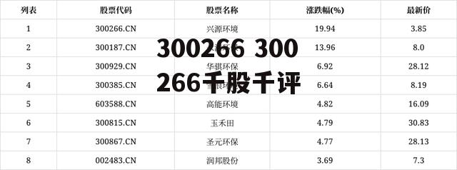 300266 300266千股千评