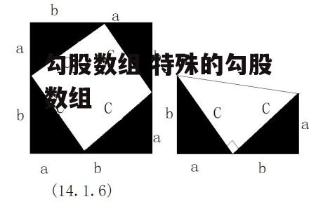 勾股数组 特殊的勾股数组