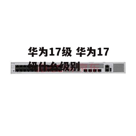 华为17级 华为17级什么级别