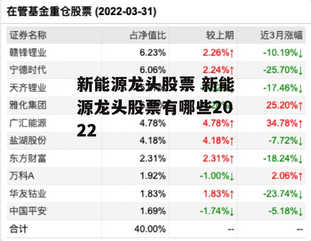 新能源龙头股票 新能源龙头股票有哪些2022