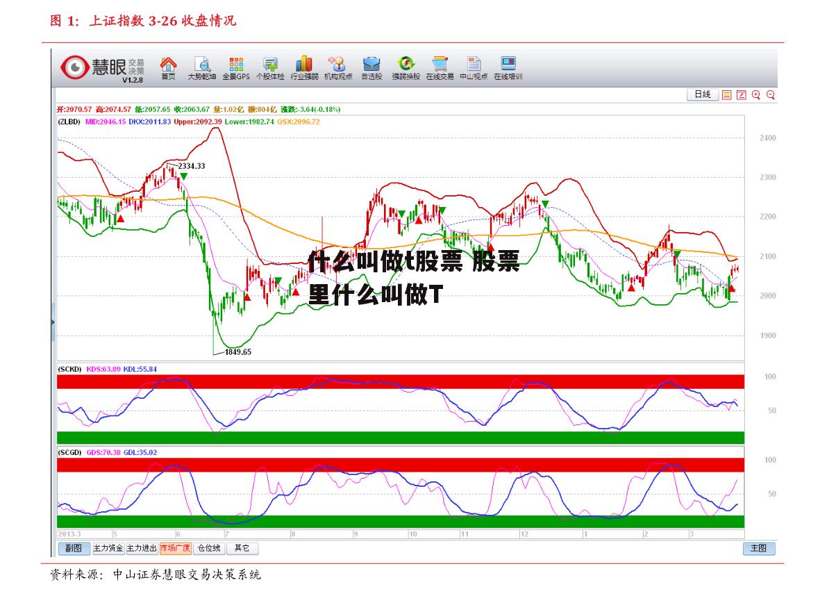 什么叫做t股票 股票里什么叫做T