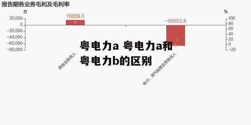 粤电力a 粤电力a和粤电力b的区别