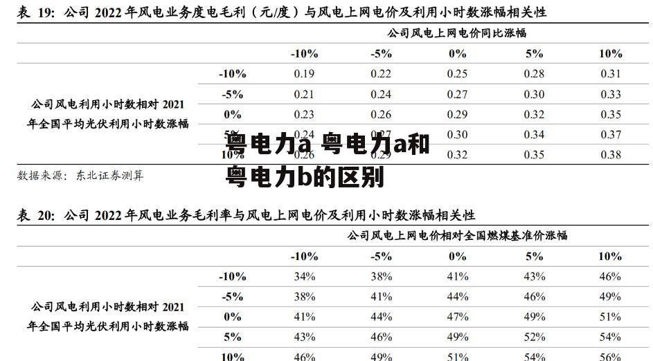 粤电力a 粤电力a和粤电力b的区别