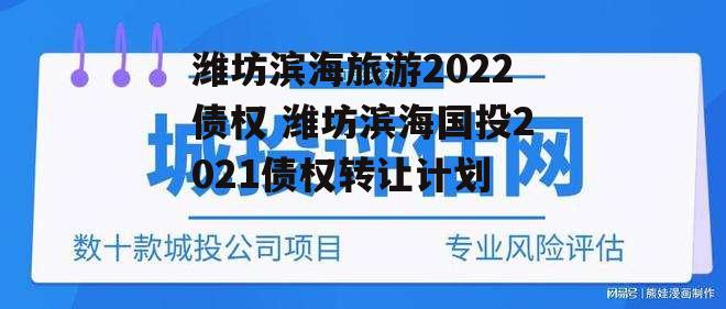 潍坊滨海旅游2022债权 潍坊滨海国投2021债权转让计划