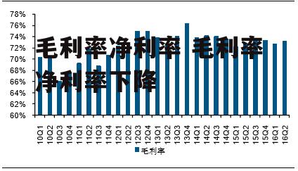 毛利率净利率 毛利率净利率下降